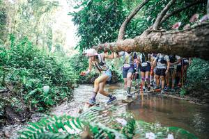 BIB: 
                            <button type="button" onclick="openModal(25472418)" class="btn btn-primary btn-sm float-right btn-popup" data-toggle="modal" data-target=".modal-high-quality">
                        <i class="fas fa-shopping-cart"></i> Add to Cart
                    </button>
                                            <button type="button" onclick="isThisMe(25472418, true)" class="btn btn-success btn-sm float-right btn-popup btn-isme hidden" data-toggle="tooltip" data-placement="bottom" title="นี่คือรูปของคุณใช่ไหม คลิกที่นี่เพื่อเอาเข้าอัลบั้ม">
                        <i class="fas fa-plus"></i> Add to album
                    </button>
                    <button type="button" onclick="isThisMe(25472418, false)" class="btn btn-warning btn-sm float-right btn-popup btn-isnotme hidden">
                        <i class="fas fa-ban"></i> Remove from album
                    </button>